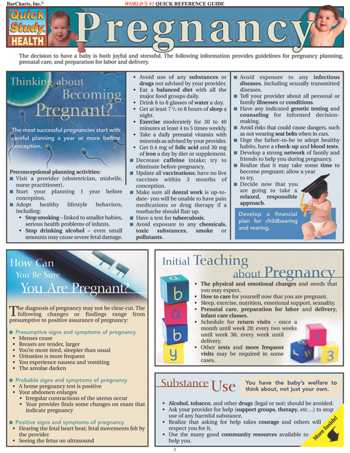 Title details for Pregnancy by Ellis Quinn Youngkin, Ph.D., R.N.C., A.R.N.P. - Wait list